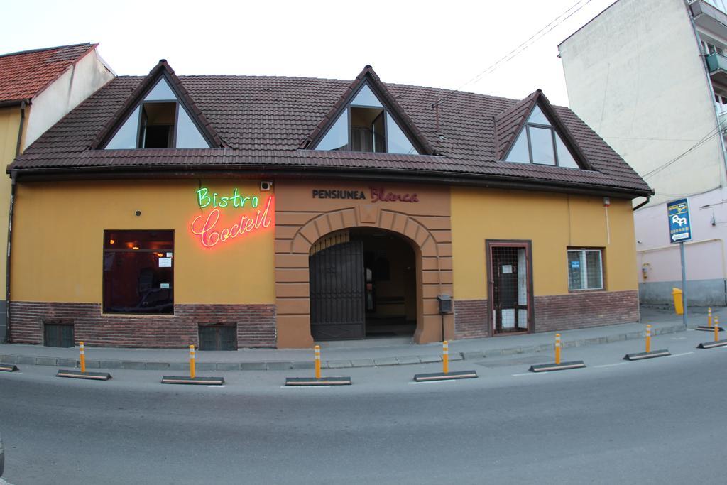 Pensiunea Blanca Reghin Exteriör bild